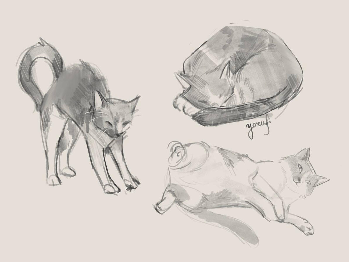 Spreadsheet of sketches